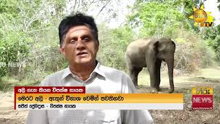 ලෝක අලි ඇතුන්ගේ දිනය දා උඩවලවේ ගිය විපක්ෂ නායක ''අලි මිනිස් ගැටුම නවත්වන්න විධිමත් වැඩපිළිවෙලකට