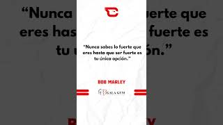 Frase de la semana
