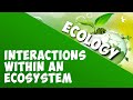 Ecosystem Interactions and Components