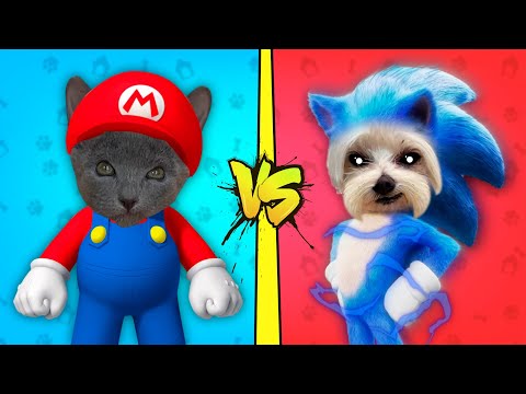 GATO MARIOS BROS VS PERRO SONIC ¿QUIEN GANA?