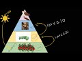 Energy Transfer in Ecosystems