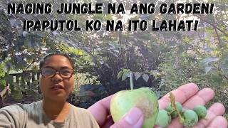 BUHAY AMERIKA: NAGING GUBAT NA ANG ATING GARDEN! MUSTA NA ANG PUNO NG MANSANAS?
