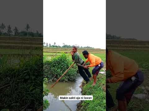 giải trí mỗi ngày. cười sảng khoái.