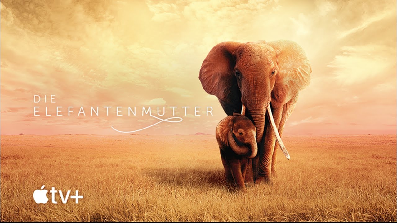 Die Elefantenmutter Vorschaubild des Trailers