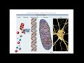 Biology Concepts and Processes