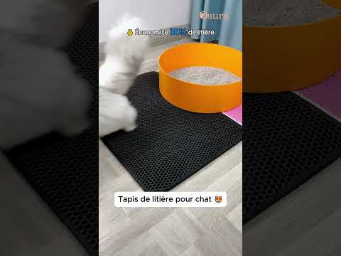 Le tapis idéale pour économiser la litière pour chat