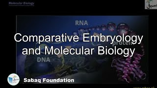 Comparative Embryology and Molecular Biology