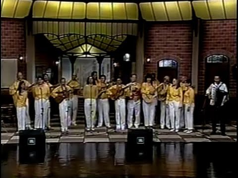 Orquestra De Violeiros De Ouro Guarulhos  - Rainha Do Paraná e Curitibana (Viola Minha Viola 1995)