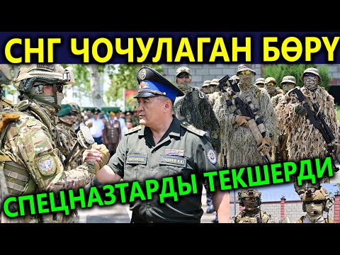 Кошуналар чочуп😱 Кыргызстандын БӨРҮСҮ😱 Ташиев текшерди😱 Түшкө кирчүү