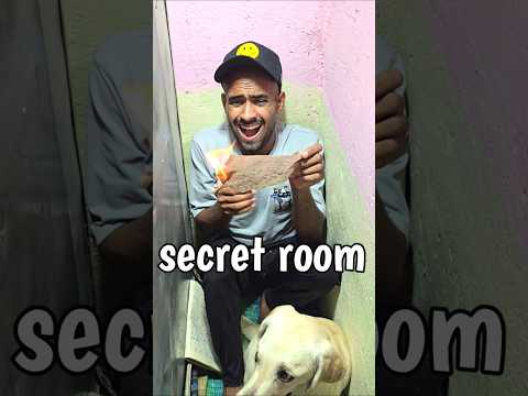 Secret room me aag🔥😲|| #trending #minivalog #viral #shorts #dog #ashortaday