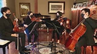 Zelter String Quartet - Æ Rømeser (Danish String Quartet)