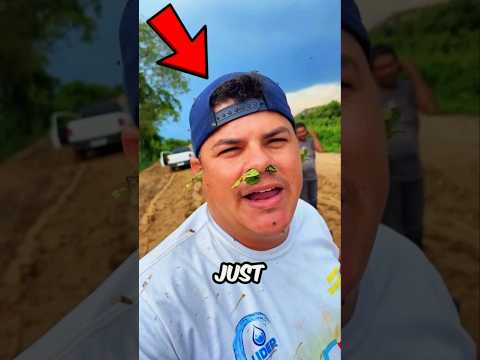 Thousands of Mosquitoes Attack! đ˛