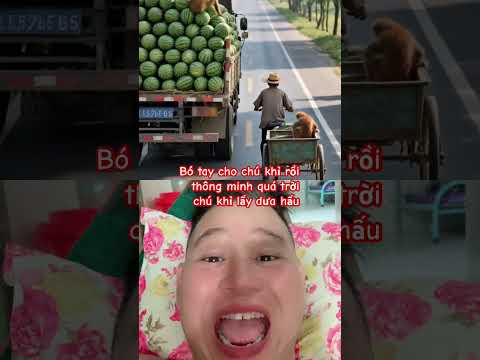 Chia sẻ clip vui nhộn hài hước cười vui