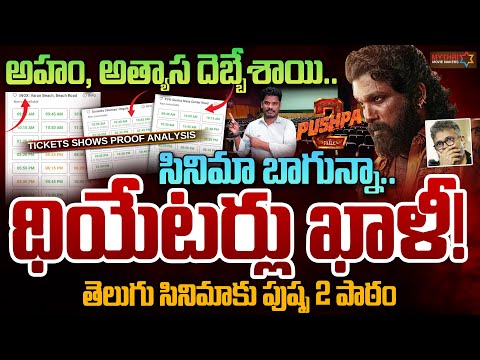 Pushpa 2 Hit or Flop Fact: సినిమా బాగున్నా, ధియేటర్లు ఖాళీ | Allu Arjun Tickets | Srinivas LifeBook