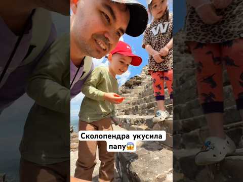 Сколопендра чуть не укусила папу😱