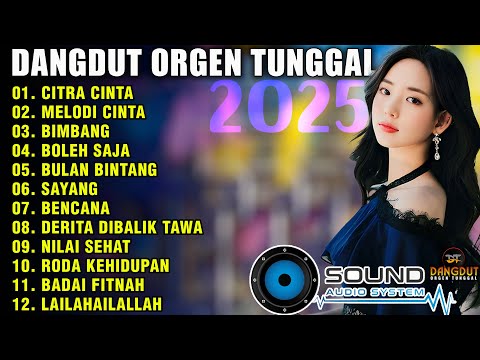 DANGDUT ORGEN TUNGGAL 2025 ALBUM RHOMA IRAMA | AUDIO CLARITY