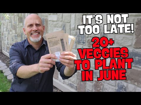 20+ Vegetables You Can Still Plant in June