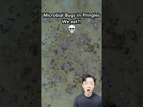Microbial Bugs in Potato Snack?!