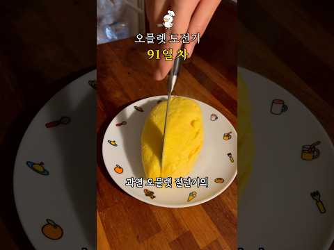 오믈렛 도전기 91일 차