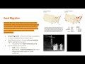 Impact of World War One Policies