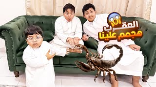 العقرب هجمة علينا😱