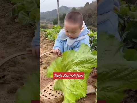 पापा बेटे को अकेले छोड़कर कहाँ चले गए 😒 #shortsfeed #woodscraft #woodcarving #woodworking