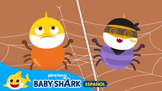 ¿Conoces a Araña Bebé Ladrona? | Cantemos y Juguemos con Tiburón Bebé | Baby Shark en español