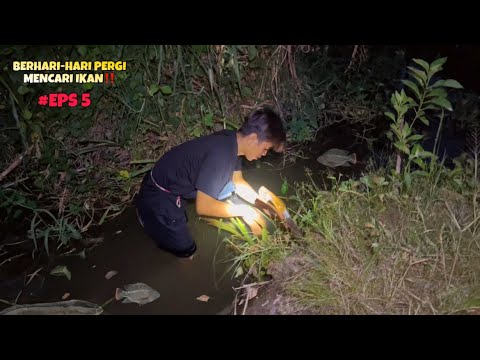 SAYA PERGI BERHARI-HARI MENCARI IKAN‼️ EPS 5