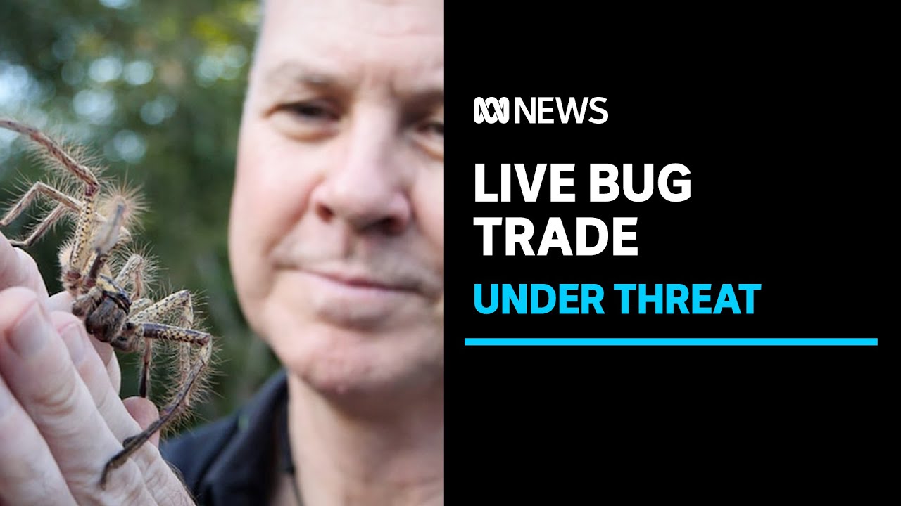 Australia Post is trying to stop online retailers from shipping live bugs