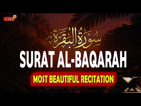 Surah Al Baqarah Full سورة البقره | Relaxing Calming & Heart Touching Quran