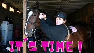It's TIME For A HORSE Show!