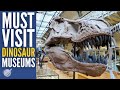 Dinosaur Fossils and Exhibits