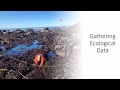 Ecological Research Concepts and Methods