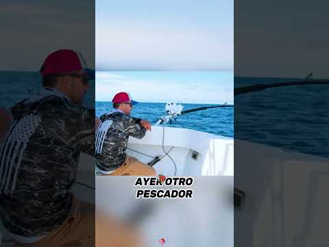 What exactly is that big creature underwater?#fishing Friendship #Us # Sea Fishing