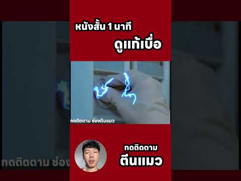 #movie #netflix #squidgame #ข้อมูล #ข่าวเด่น #ตีนแมว #เกม #เกมปลาหมึก #ซีซัน2 จุดเริ่มต้นความเดือด