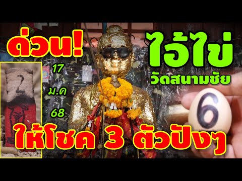 ตามด่วน-ไอ้ไวัดสนามชัย ให้โชค 3 ตัวปังๆ 17 ม.ค 68 | หวยรัฐบาลไทย