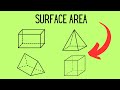 Surface Area and Lateral Area Concepts