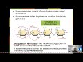 Biological Macromolecules and Enzymes