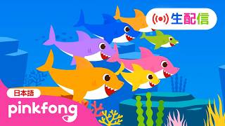 【🔴生配信】ピンキッツ・ベイビーシャークの24時間TV LIVE★ | サメのかぞくの子どもの歌メドレー🎶