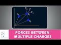 Coulomb's Law and Superposition Principles