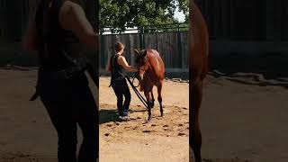 This song is perfect for Kirby is you swap “Daddy’s Mugshot” with “Momma’s Mugshot”#Horses