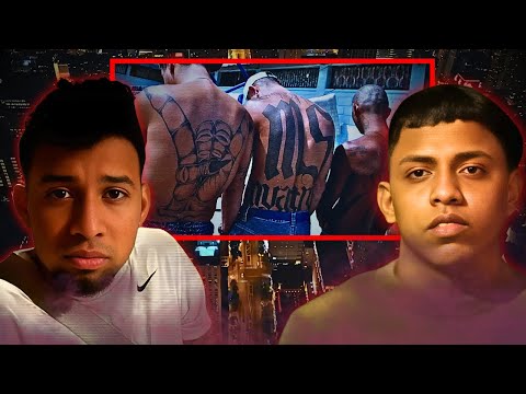 The Brutal Rise of Tren de Aragua: Chicago’s Most Feared Gang