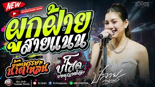 ผูกฝ้ายสายแนน + บ่โสดบ่อนุญาตให้จีบ + บ่กล้าเจอย้านเผลอกอด + ออกพรรษาน้ำตาหล่น | ปลาย กนกพรน