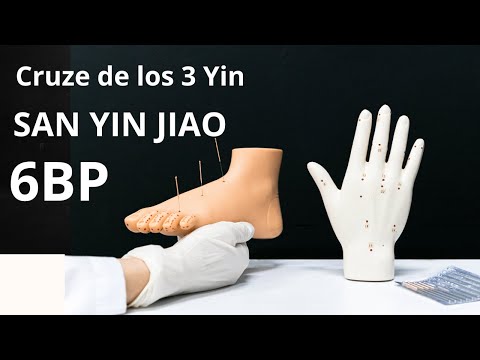 Presiona Aquí Para DEBILIDAD PIERNAS, DEFICIENCIA DE SANGRE, CUERPO PESADO