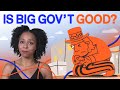 Government Influence and Economic Inequality