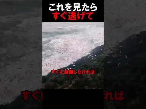 魚が飛び跳ねている訳とは・・・