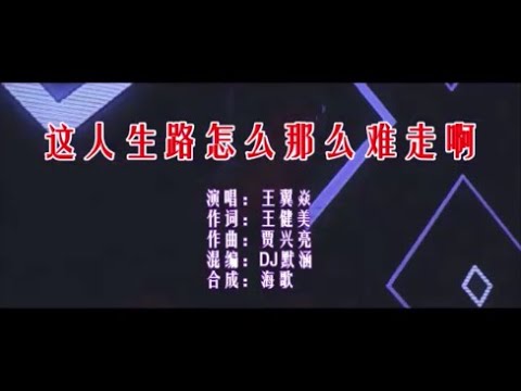 王翼焱 《这人生路怎么那么难走啊 （DJ默涵版）》 KTV 导唱字幕 （备有伴奏视频）