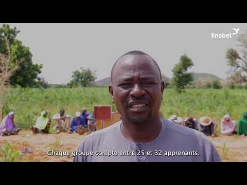 Niger : des pratiques agricoles durables pour restaurer les sols