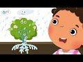 Exploring Plant Parts and Their Functions