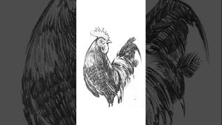 How to draw a rooster